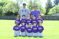 T-BALL BATS