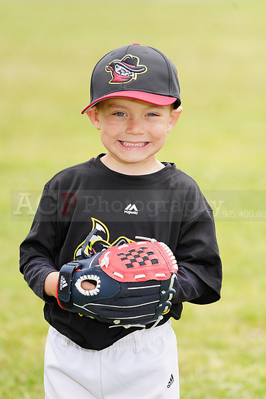 AGP09062