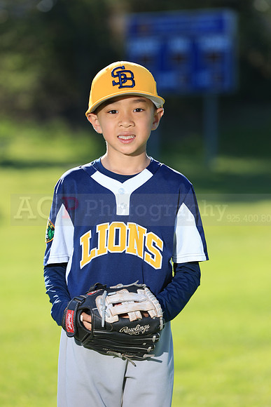 PWLions00137