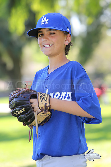 MajorDodgers029