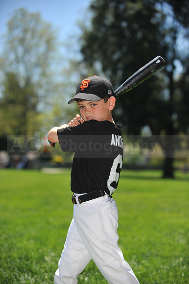Farm Giants058