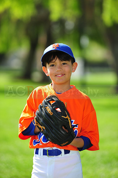AA METS025