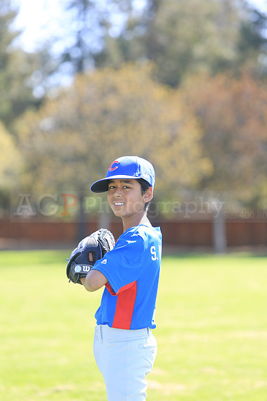 AAACubs013