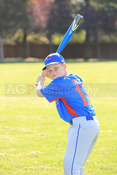 AACubs051