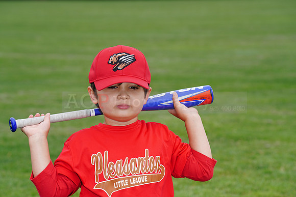 PLL_TBall_Grizzlies00082