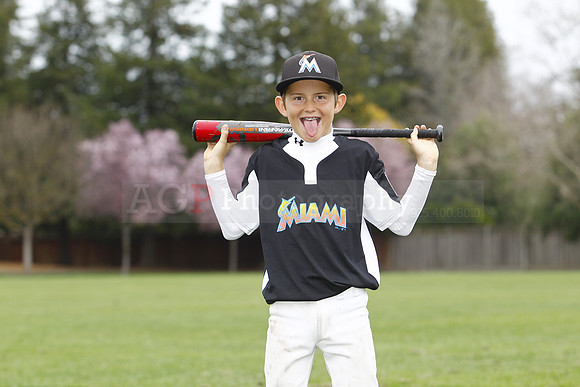 MMarlins061