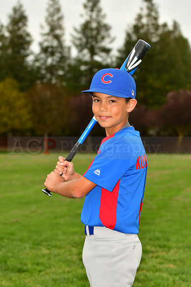 AAACubs036