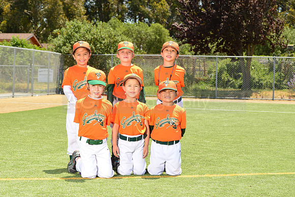 SB_TB_Grasshoppers00056
