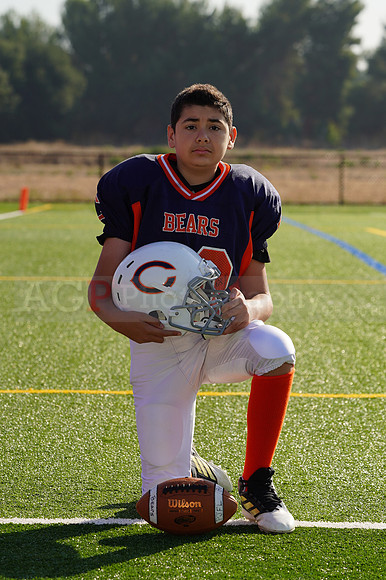 Bears00124