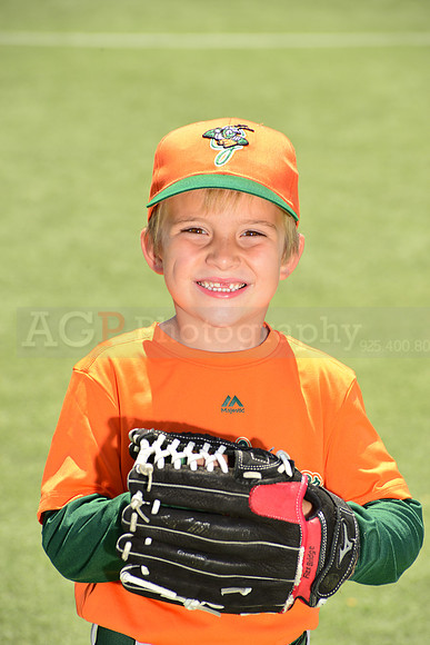 SB_TB_Grasshoppers00003
