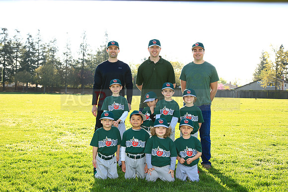 TBTinCaps058