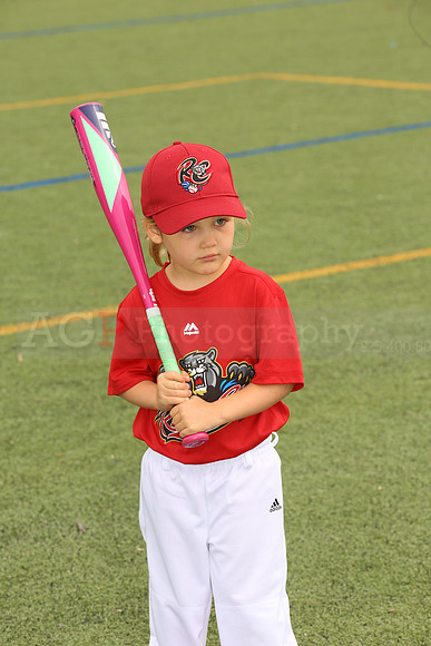 SB_TB_Ironpigs00067
