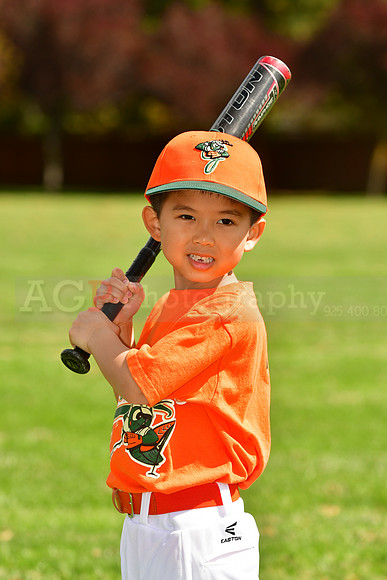 FMGrasshoppers045