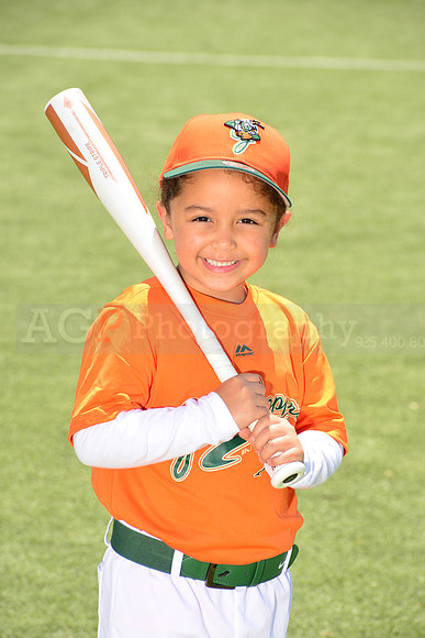 SB_TB_Grasshoppers00015
