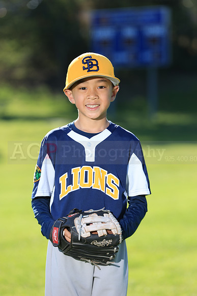PWLions00138