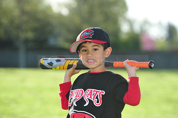 TBMudcats014