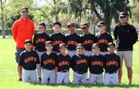 AA GIANTS