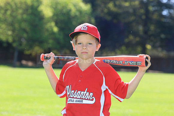 PLL_AAA_Cardinals00027