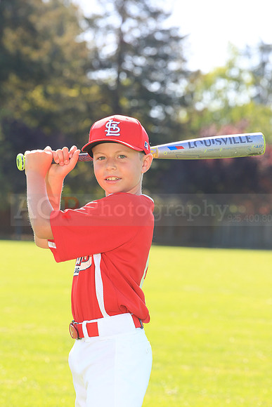 PLL_AAA_Cardinals00048