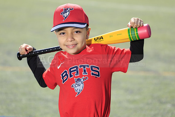 SB_TB_Bats013