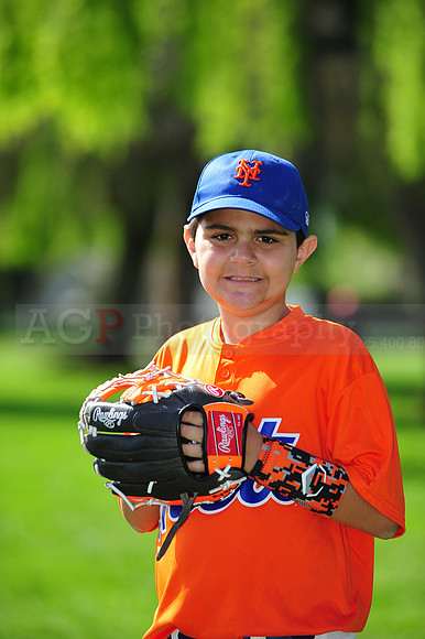 AA METS048