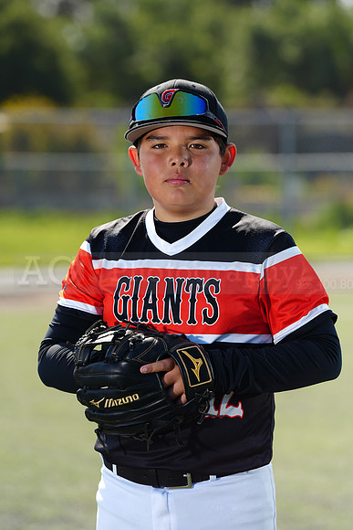 SB_BR_Giants010