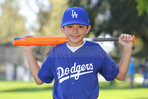 MajorDodgers065