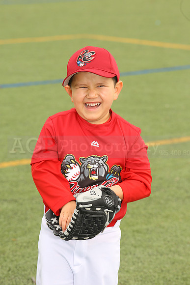 SB_TB_Ironpigs00026