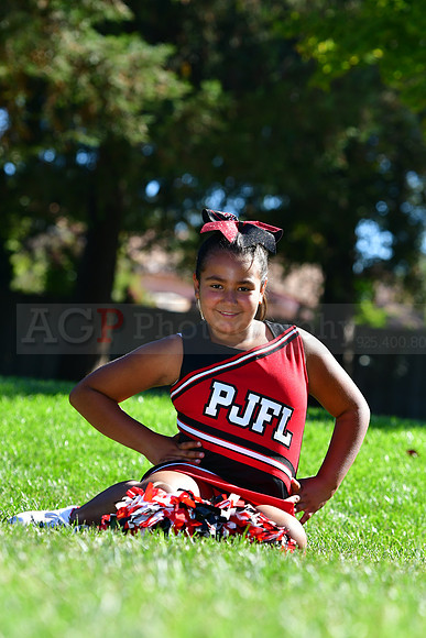 Cheer085