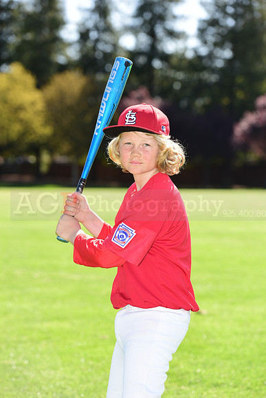 MCardinals0029