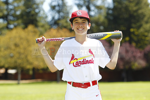 MCards1036
