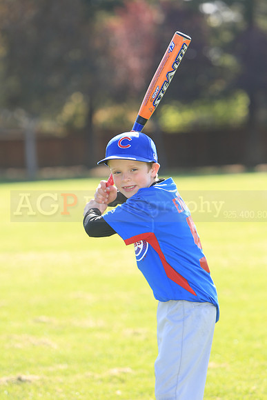 AACubs046