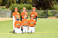 T-BALL GRASSHOPPERS