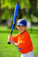 AA METS010