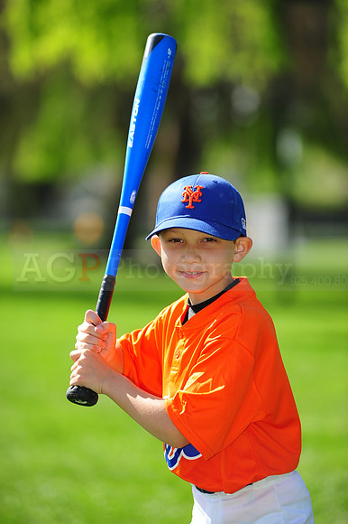 AA METS010