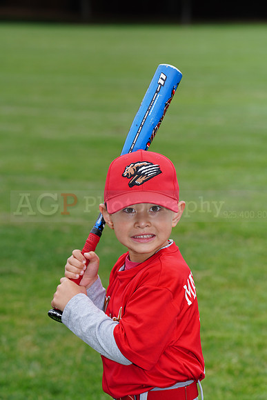 PLL_TBall_Grizzlies00065