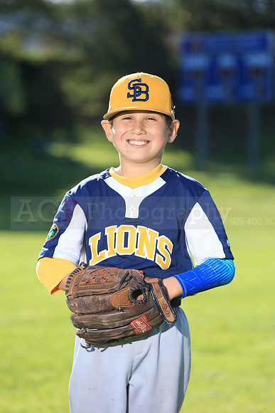 PWLions00016