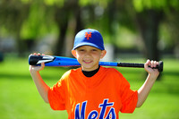 AA METS011