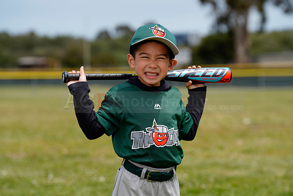 TBTinCaps00061
