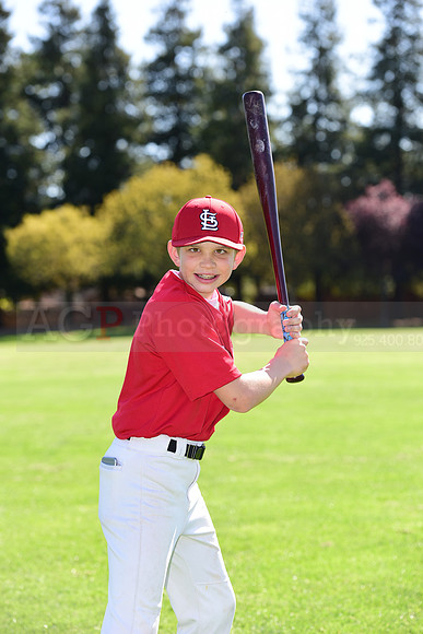 MCardinals0049