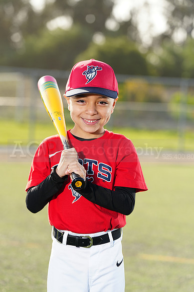 SB_TB_Bats054
