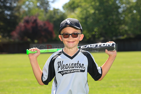 PLL_A_Whitesox00066