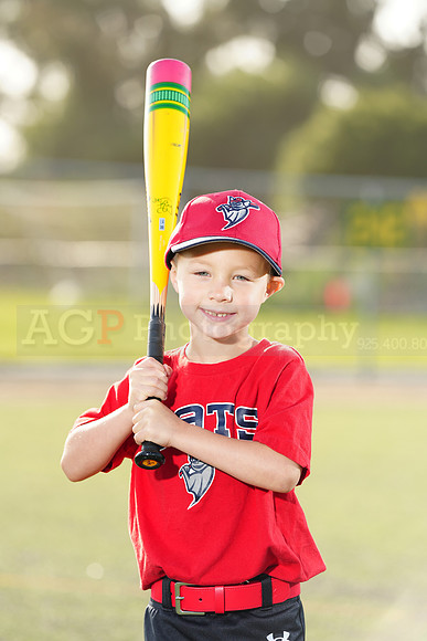 SB_TB_Bats027