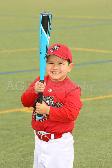 SB_TB_Ironpigs00028