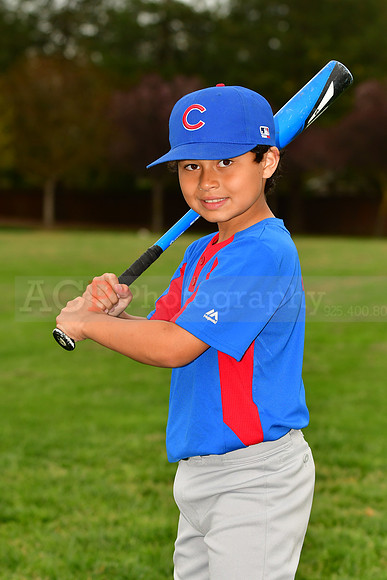 AAACubs029
