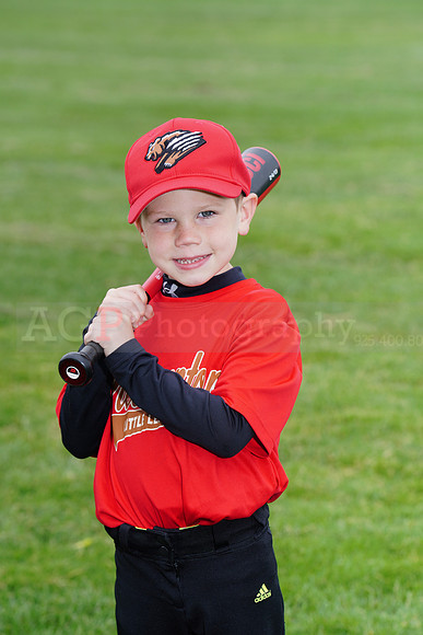 PLL_TBall_Grizzlies00023