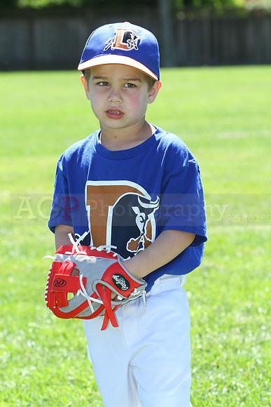 TBBulls045