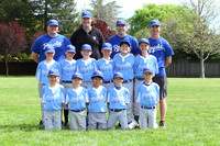 AA ROYALS