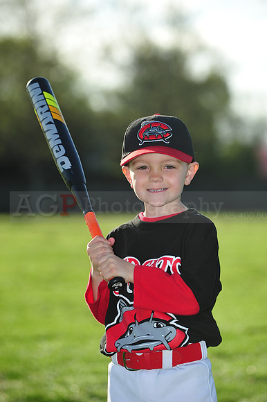 TBMudcats003