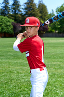 PLL_M_Cardinals00001